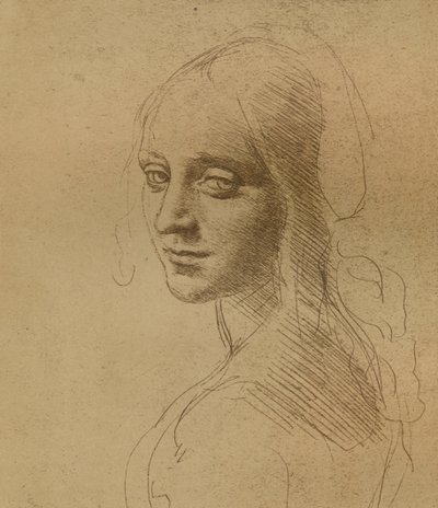 Una testa femminile, c1472-c1519 1883 da Leonardo da Vinci