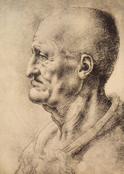 Un uomo di profilo da Leonardo da Vinci