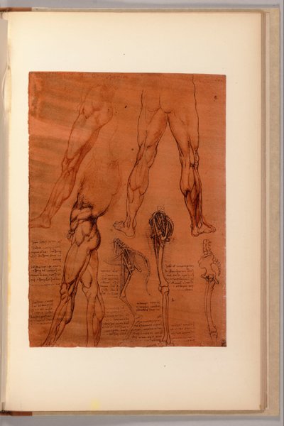 Una pagina da "Quaderni d
