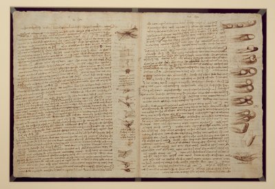 Una pagina dal Codice Leicester, 1508-12 da Leonardo da Vinci