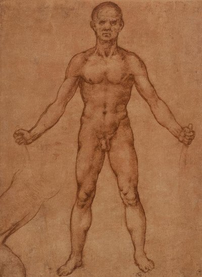 Studio di nudo di un uomo in piedi, frontale da Leonardo da Vinci