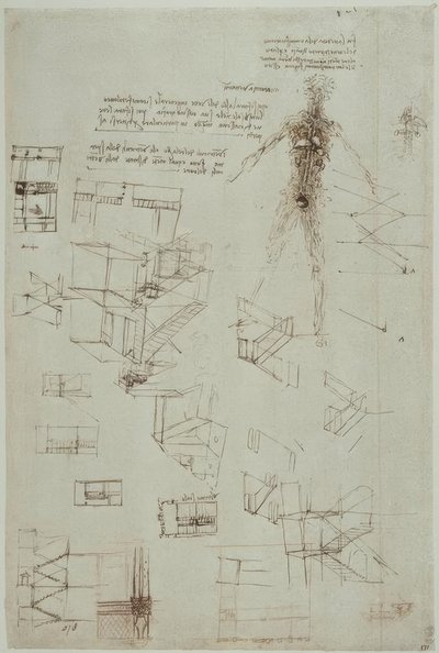 Studi anatomici da Leonardo da Vinci