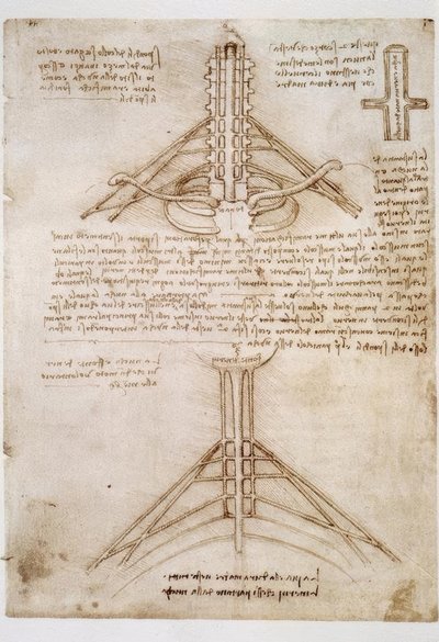 Studi di anatomia da Leonardo da Vinci