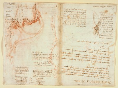 Arundel 263, f.148v da Leonardo da Vinci