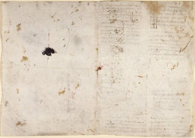 Disegni sui poteri e le forze meccaniche, percussione, gravità, movimento, ottica e astronomia, con varie proposizioni aritmetiche e geometriche da Leonardo da Vinci