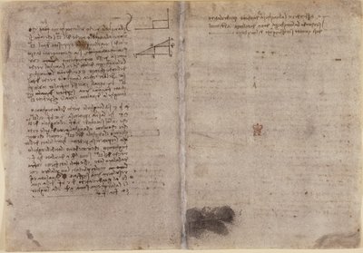 Arundel 263, f.245v, f.246r, Note sulla geometria (c.1518) dal 