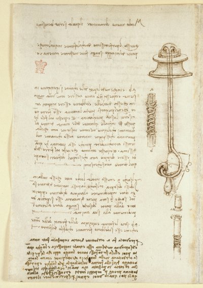 Note e schizzi che illustrano lo studio di Leonardo sull