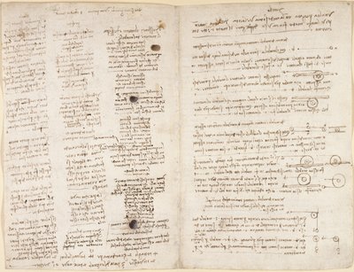 Testi brevi delle profezie di Leonardo (
