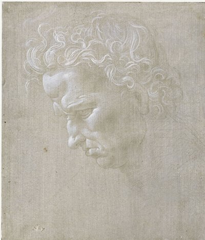  da Leonardo da Vinci