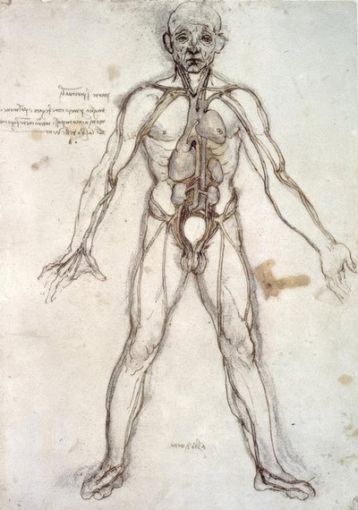 Albero dei vasi da Leonardo da Vinci