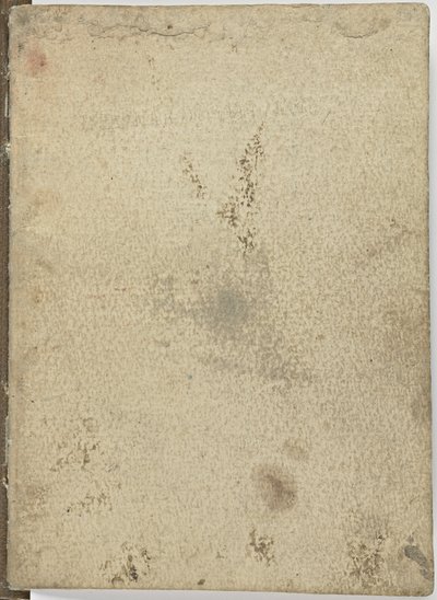 Codice del volo degli uccelli, c. 1505-06 da Leonardo da Vinci
