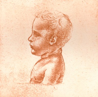 Busto di un ragazzo, c. 1472-c. 1519, 1883 da Leonardo da Vinci