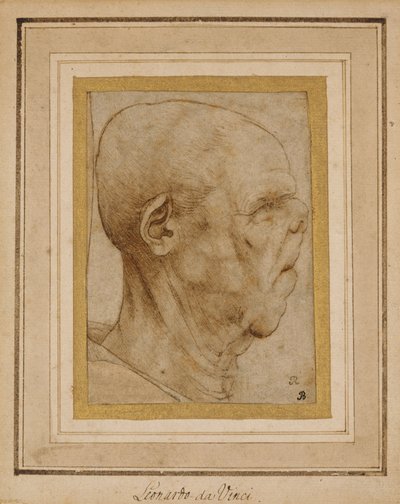 Caricatura della testa di un vecchio, di profilo a destra, c.1507 da Leonardo da Vinci