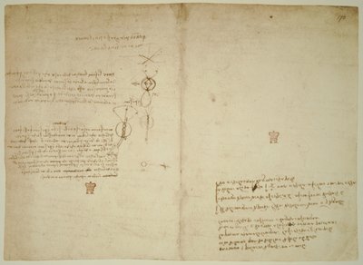  da Leonardo da Vinci