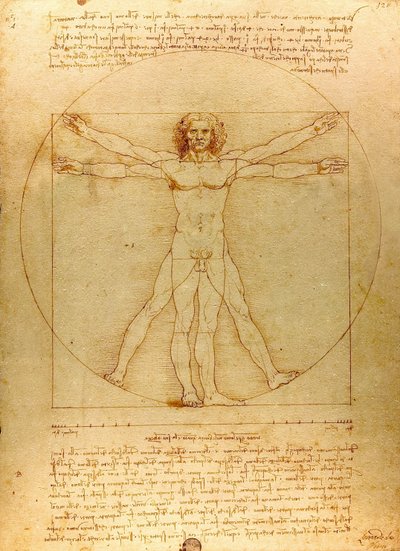 Da Vinci Vitruve Luc Viatour (ritagliato) da Leonardo da Vinci