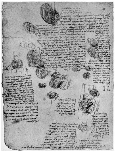 Diagramma del vortice sanguigno nel cuore, fine XV o inizio XVI secolo, 1954 da Leonardo da Vinci