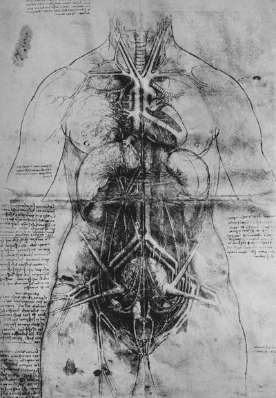 Dissezione degli organi principali di una donna, c1480 da Leonardo da Vinci