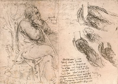 Disegno che illustra la rappresentazione dei capelli che cadono in riccioli, c1472-c1519 1883 da Leonardo da Vinci