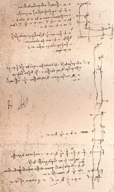 Disegno che illustra la teoria delle proporzioni della figura umana da Leonardo da Vinci