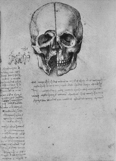 Disegno di due metà di un cranio, c1480 1945 da Leonardo da Vinci