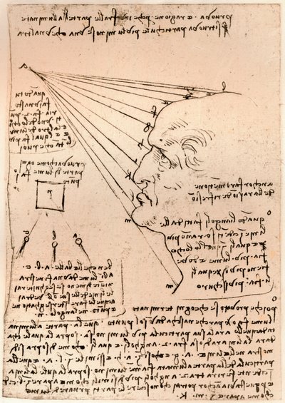 Disegno di una testa maschile, che illustra la pratica della pittura da Leonardo da Vinci