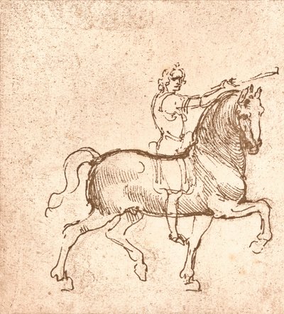 Disegno di un cavallo al passo, c1472-c1519 1883 da Leonardo da Vinci