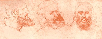 Disegno di teste orientali, in gesso rosso, c1472-c1519 da Leonardo da Vinci
