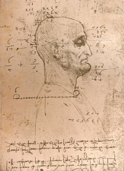 Disegno della testa di un criminale, c1472-c1519 1883 da Leonardo da Vinci