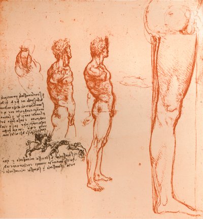 Disegni che mostrano i movimenti della figura umana e guerrieri che combattono, c1472-c1519 1883 da Leonardo da Vinci