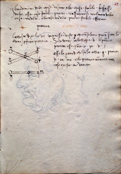 Estratto dal libro di dipinti, dal Codex Trivulzianus da Leonardo da Vinci
