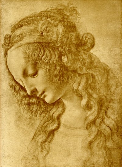 Testa femminile da Leonardo da Vinci