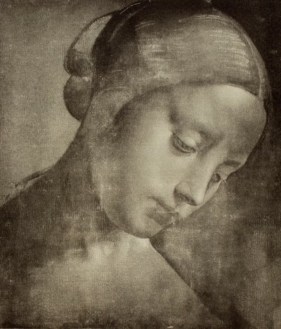 Testa femminile, disegno di Leonardo da Vinci. Gabinetto dei Disegni e delle Stampe, Galleria degli Uffizi, Firenze da Leonardo da Vinci