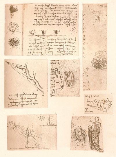 Cinque disegni che illustrano gli elementi della pittura paesaggistica, c. 1472-c. 1519 da Leonardo da Vinci