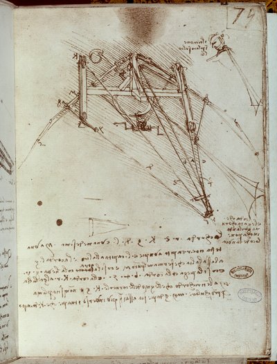 Disegno di macchina volante. Manoscritto di Leonardo da Vinci da Leonardo da Vinci