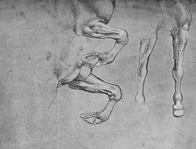 Quattro studi di gambe di cavallo, c. 1480 da Leonardo da Vinci