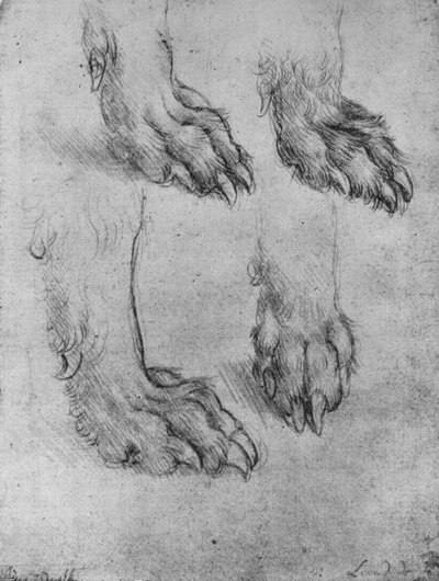 Quattro Studi delle Zampe di un Cane o Lupo, c1480 1945 da Leonardo da Vinci