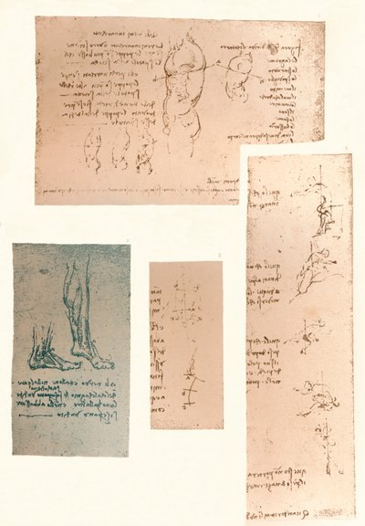 Quattro disegni che illustrano la teoria dei movimenti della figura umana da Leonardo da Vinci