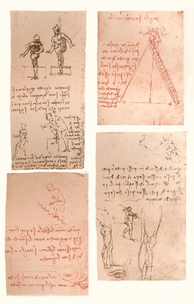 Quattro disegni che illustrano la teoria dei movimenti della figura umana, c1472-c1519 1883 da Leonardo da Vinci
