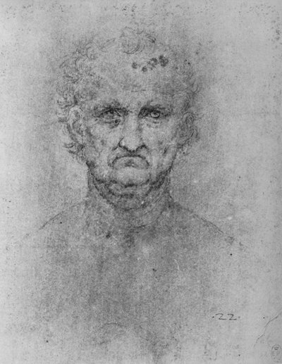 Volto di un vecchio da Leonardo da Vinci
