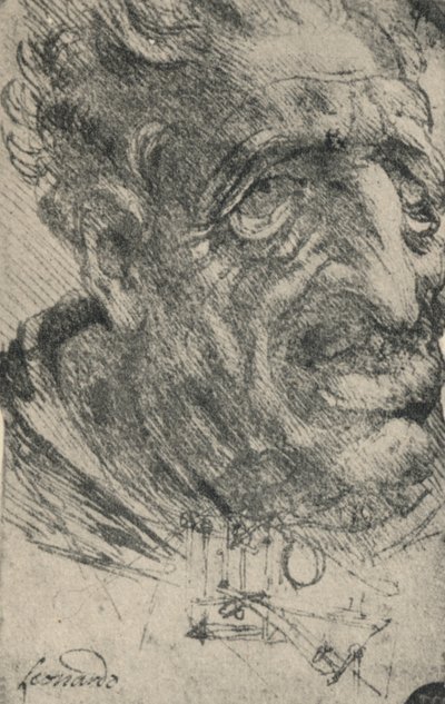 Testa grottesca di un uomo girato di tre quarti a destra, c1480 da Leonardo da Vinci