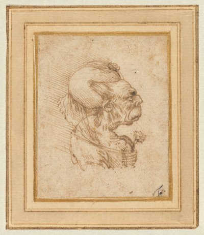  da Leonardo da Vinci