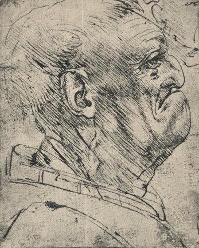 Profilo grottesco di un uomo a destra, c1480 da Leonardo da Vinci
