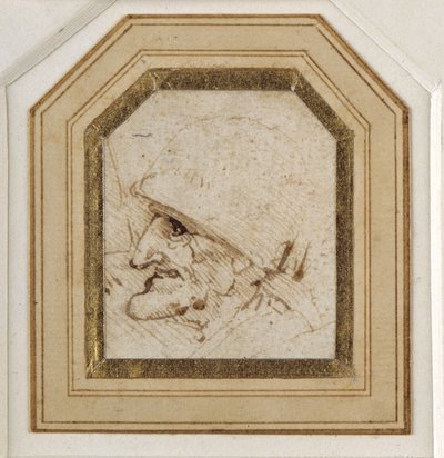 Testa grottesca da Leonardo da Vinci