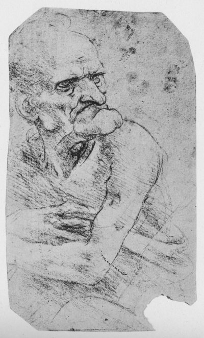Caricatura a Mezzo Busto di un Vecchio con un Mento Prominente, c1480 1945 da Leonardo da Vinci