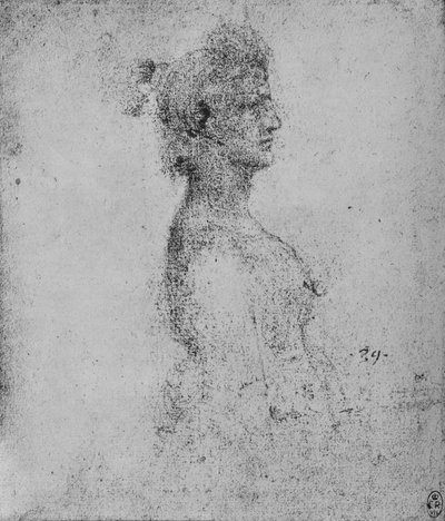 Mezza figura di una giovane donna di profilo a destra da Leonardo da Vinci
