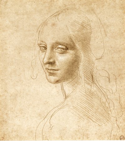 Testa e spalle di una ragazza, c. 1490 da Leonardo da Vinci