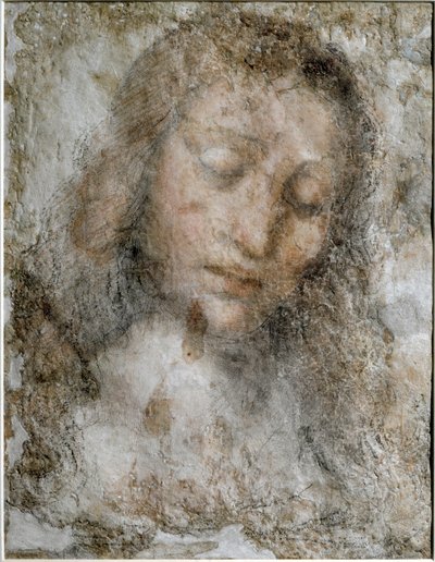 Testa di Cristo Redentore da Leonardo da Vinci
