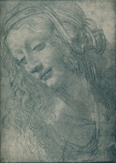 Testa di una Vergine, XV secolo, 1932 da Leonardo da Vinci