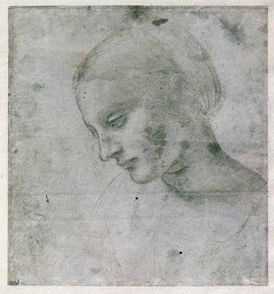 Testa di una giovane donna o Testa della Vergine, c.1490 da Leonardo da Vinci