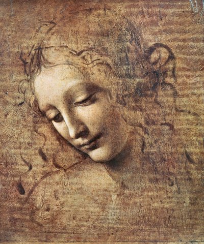 Testa di una Giovane Donna con Capelli Arruffati o, Leda da Leonardo da Vinci